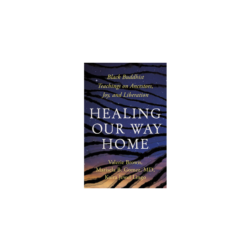 Healing Our Way Home: Black Buddhist Teachings on Ancestors, Joy, and Liberation