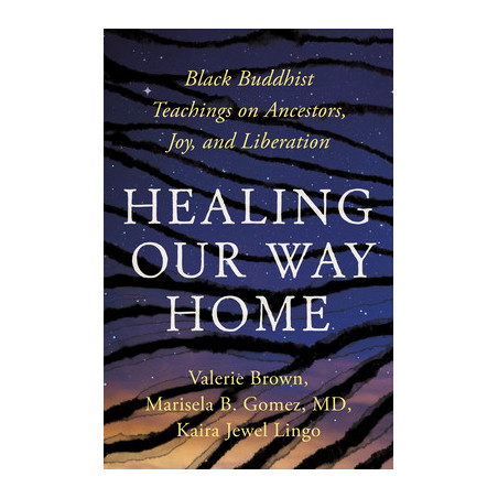 Healing Our Way Home: Black Buddhist Teachings on Ancestors, Joy, and Liberation