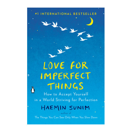 Love for Imperfect Things: How to Accept Yourself in a World Striving for Perfection