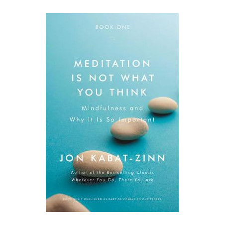 Meditation Is Not What You Think: Mindfulness and Why It Is So Important