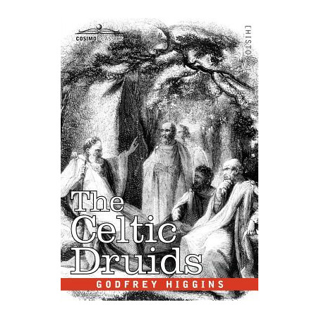 The Celtic Druids