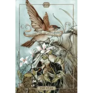 Hush Tarot