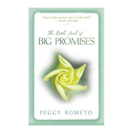 Little Book of Big Promises