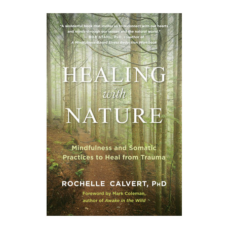 Healing with Nature: Mindfulness and Somatic Practices to Heal from Trauma