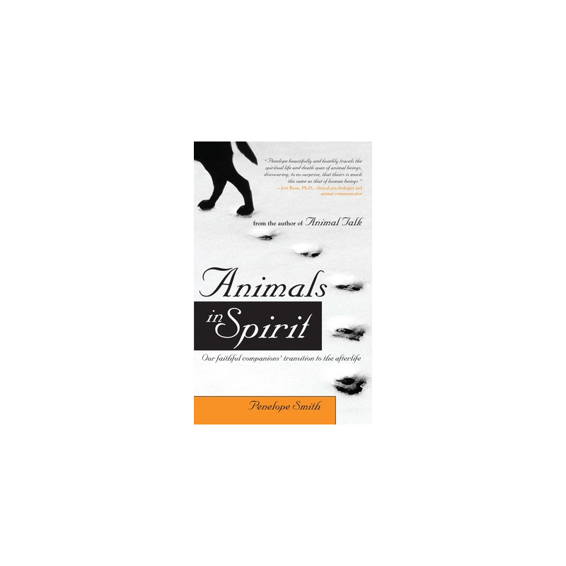 Animals in Spirit: Our Faithful Companions' Transition to the Afterlife