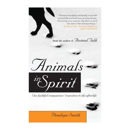 Animals in Spirit: Our Faithful Companions' Transition to the Afterlife