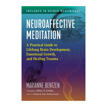 Neuroaffective Meditation: A Practical Guide to Lifelong Brain Development, Emotional Growth, and Healing Trauma