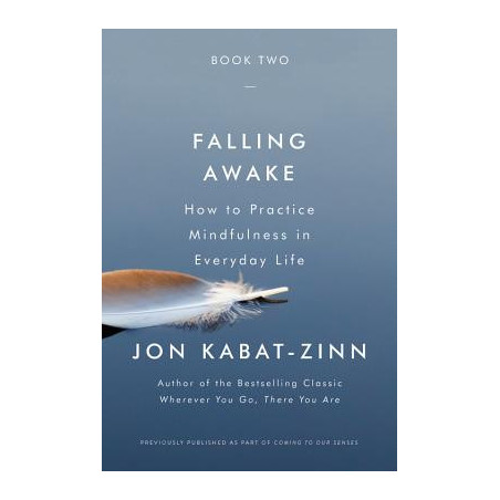 Falling Awake: How to Practice Mindfulness in Everyday Life