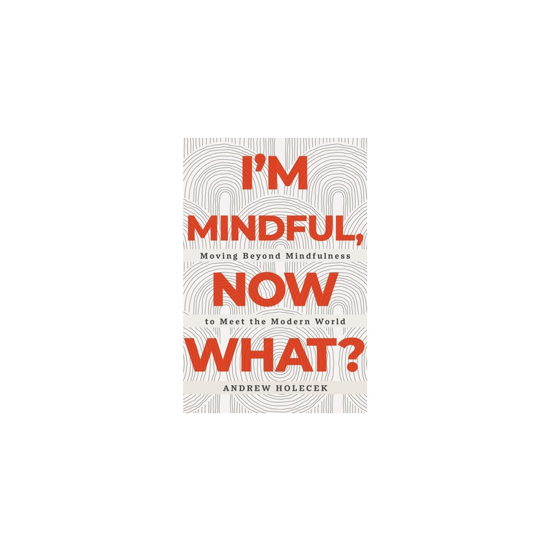 I'm Mindful, Now What?: Moving Beyond Mindfulness to Meet the Modern World