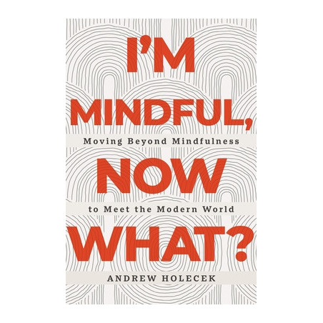 I'm Mindful, Now What?: Moving Beyond Mindfulness to Meet the Modern World