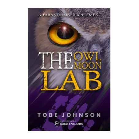 The Owl Moon Lab: A Paranormal Experiment