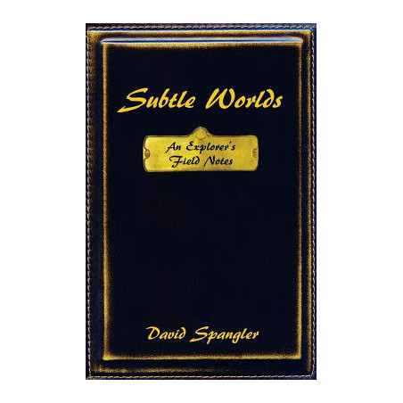 Subtle Worlds: An Explorer's Field Notes