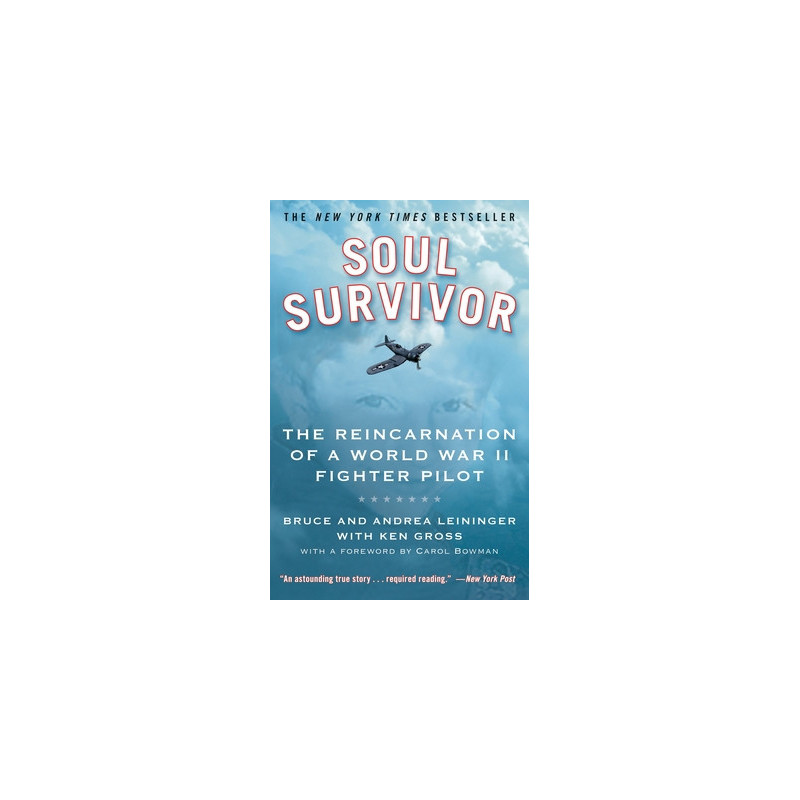 Soul Survivor: The Reincarnation of a World War II Fighter Pilot