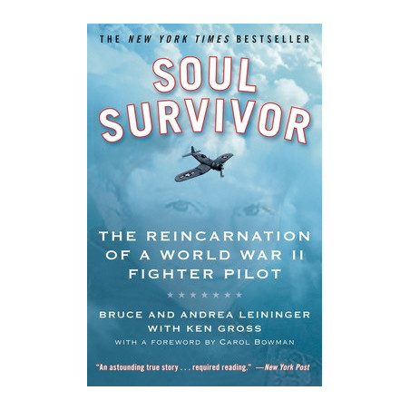 Soul Survivor: The Reincarnation of a World War II Fighter Pilot