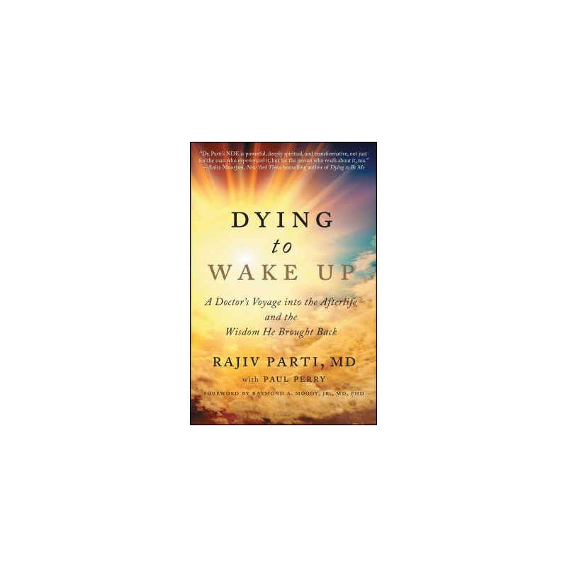 Dying to Wake Up: A Doctor's Voyage Into the Afterlife and the Wisdom He Brought Back