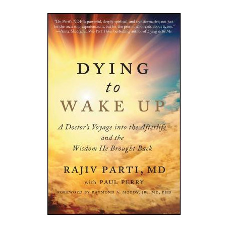 Dying to Wake Up: A Doctor's Voyage Into the Afterlife and the Wisdom He Brought Back