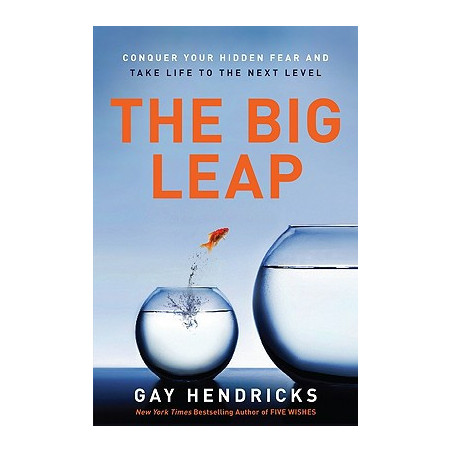 The Big Leap: Conquer Your Hidden Fear and Take Life to the Next Level