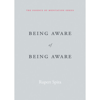 Being Aware of Being Aware