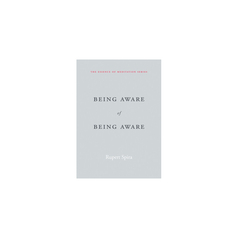 Being Aware of Being Aware