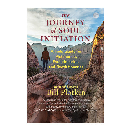 The Journey of Soul Initiation: A Field Guide for Visionaries, Evolutionaries, and Revolutionaries