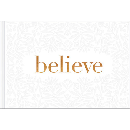 Believe -- A Gift Book for the Holidays, Encouragement, or to Inspire Everyday Possibilities