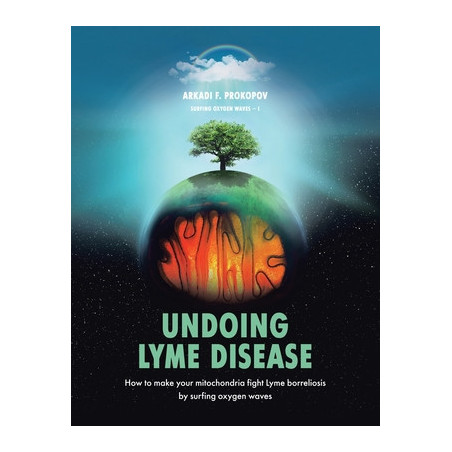 Undoing Lyme Disease: How to Make Your Mitochondria Fight Lyme Borreliosis by Surfing Oxygen Waves