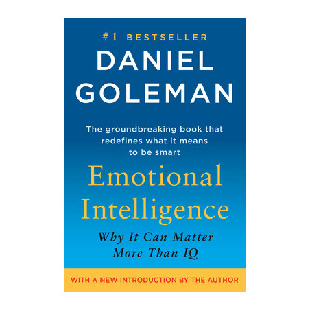 Emotional Intelligence: Why It Can Matter More Than IQ