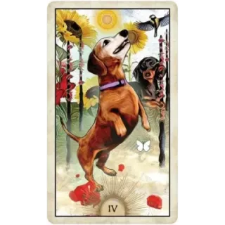 Wise Dog Tarot