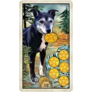 Wise Dog Tarot