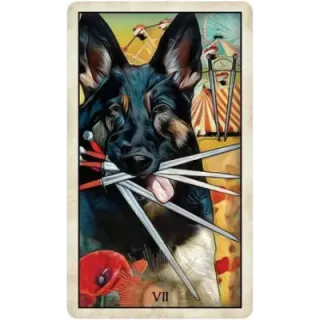 Wise Dog Tarot