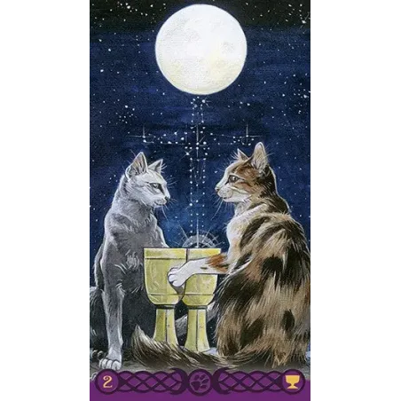 Tarot of the Pagan Cats