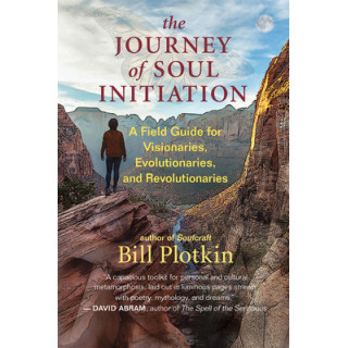 The Journey of Soul Initiation: A Field Guide for Visionaries, Evolutionaries, and Revolutionaries