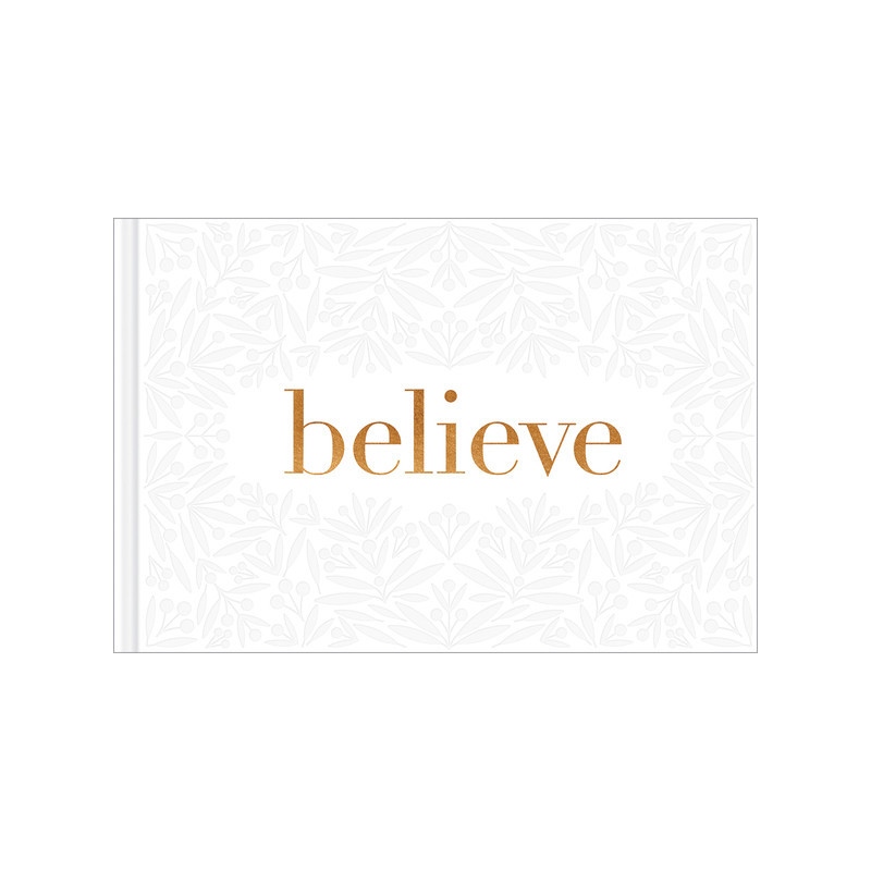 Believe -- A Gift Book for the Holidays, Encouragement, or to Inspire Everyday Possibilities