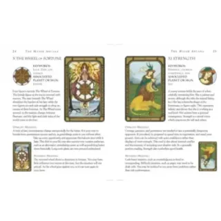 Colour Your Tarot