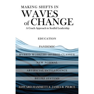 Making Shifts In Waves Of Change: A Coach Approach To Soulful-Leadership