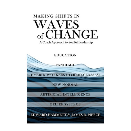 Making Shifts In Waves Of Change: A Coach Approach To Soulful-Leadership