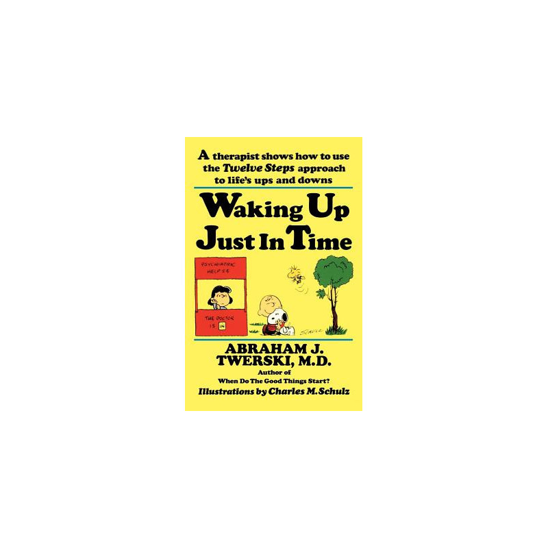 Waking Up Just in Time: A Therapist Shows How to Use the Twelve Steps Approach to Life's Ups and Downs