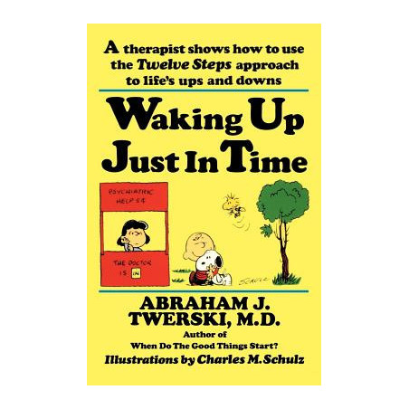 Waking Up Just in Time: A Therapist Shows How to Use the Twelve Steps Approach to Life's Ups and Downs