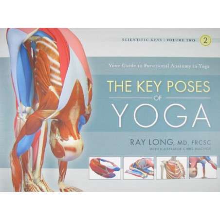 The Key Poses of Yoga