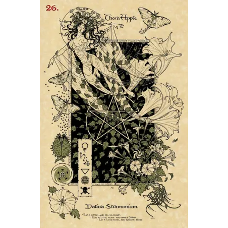 The Magickal Botanical Oracle