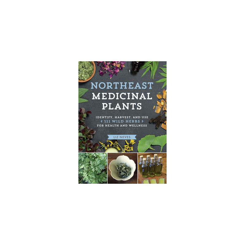 Northeast Medicinal Plants: Identify, Harvest, and Use 111 Wild Herbs for Health and Wellness