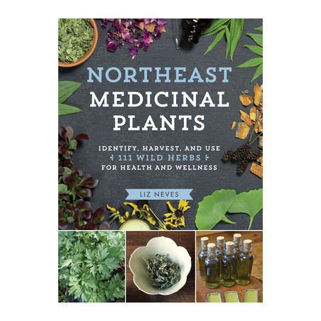 Northeast Medicinal Plants: Identify, Harvest, and Use 111 Wild Herbs for Health and Wellness