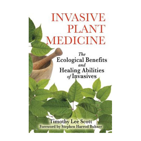 Invasive Plant Medicine: The Ecological Benefits and Healing Abilities of Invasives