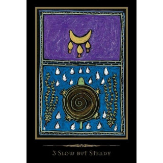 Shamanic Healing Oracle