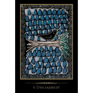 Shamanic Healing Oracle