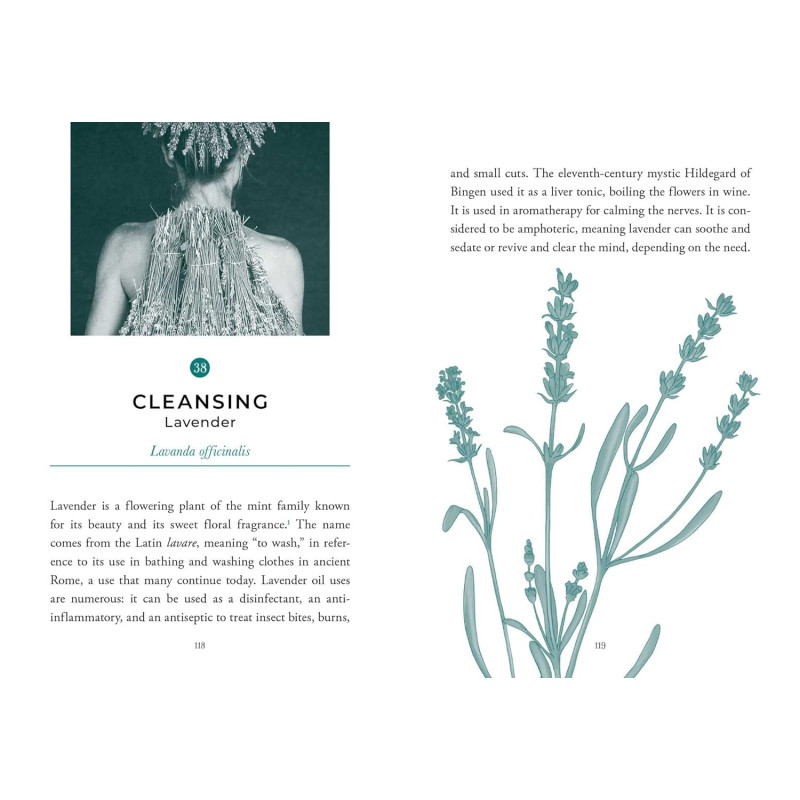 Sacred Nature Oracle