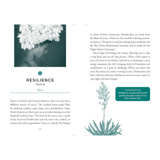 Sacred Nature Oracle