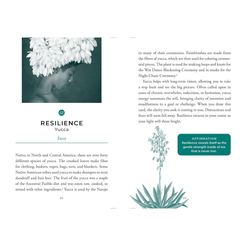 Sacred Nature Oracle