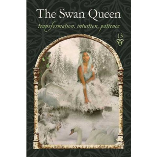 Wisdom of the Hidden Realms Oracle