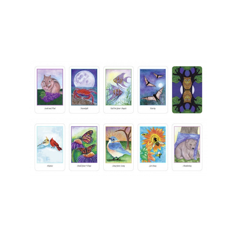 Higher Intuitions Oracle